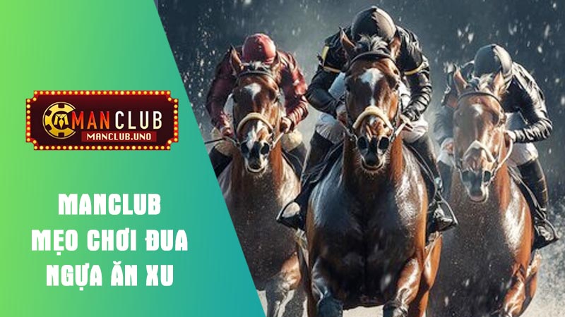 cách chơi cá cược đua ngựa