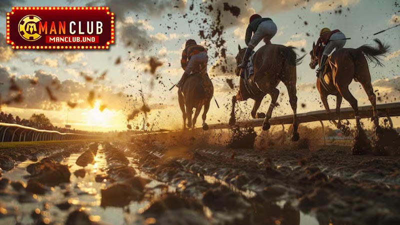 lưu ý khi cá cược đua ngựa online